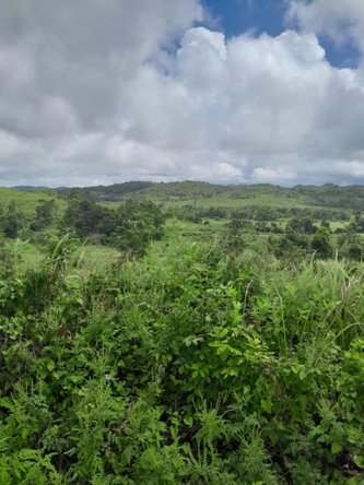 Third image of Friendship Scheme in Walkerswood, St. Ann, Jamaica - property is For Sale