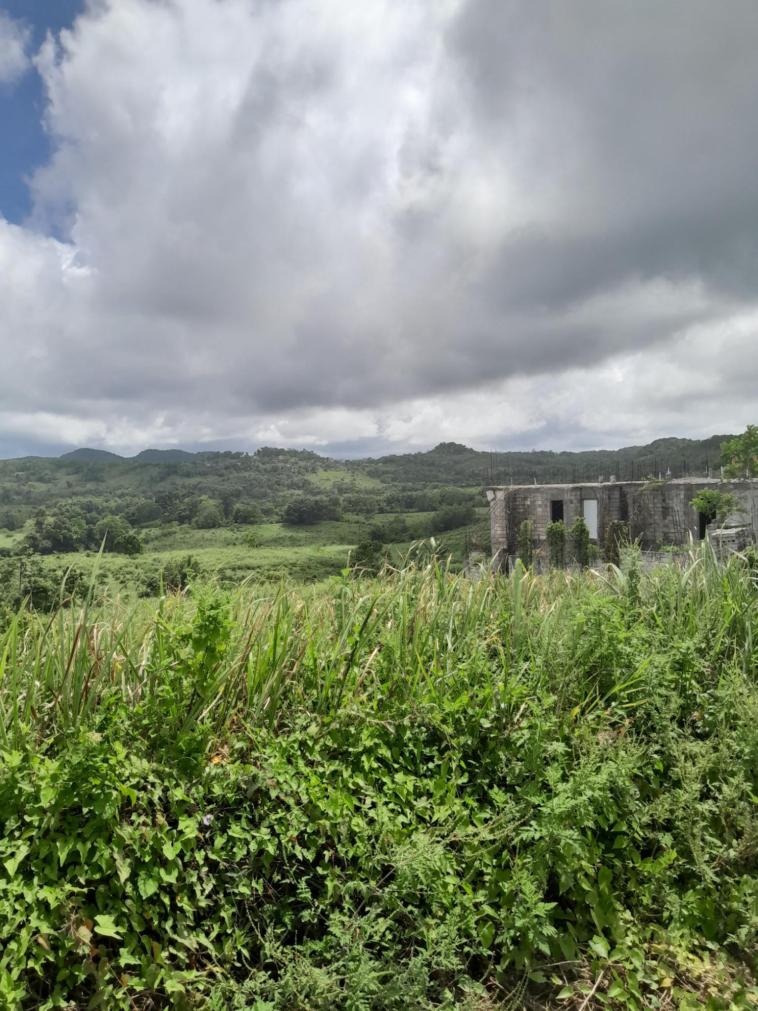 Fourth image of Friendship Scheme in Walkerswood, St. Ann, Jamaica - property is For Sale