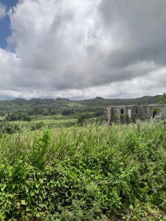 Fourth image of Friendship Scheme in Walkerswood, St. Ann, Jamaica - property is For Sale