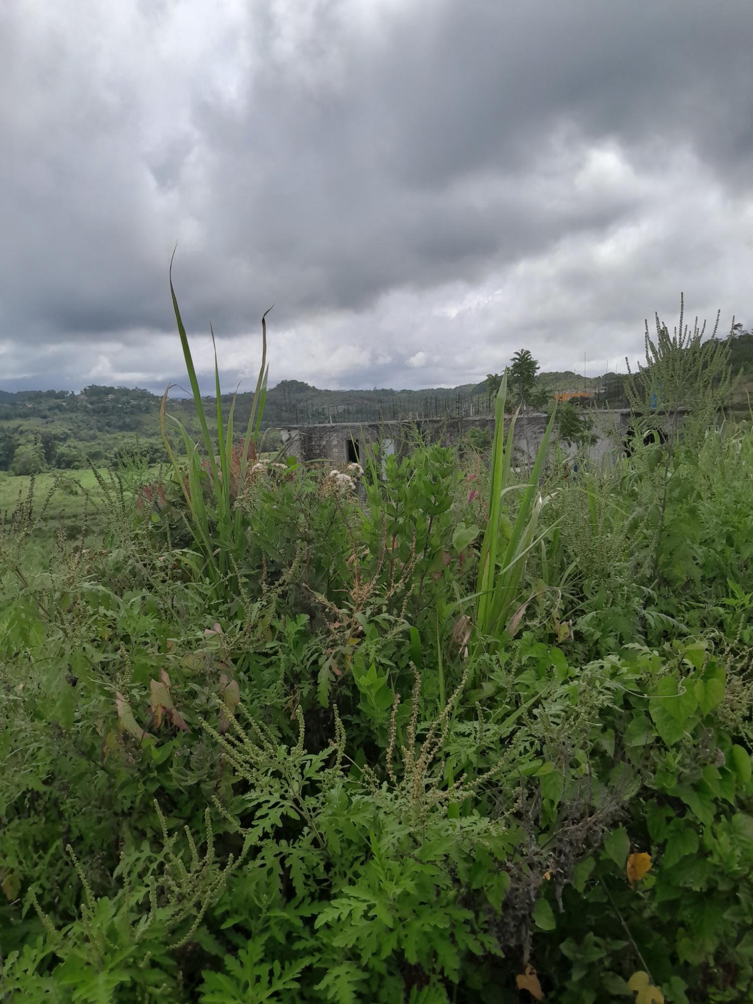 Fifth image of Friendship Scheme in Walkerswood, St. Ann, Jamaica - property is For Sale