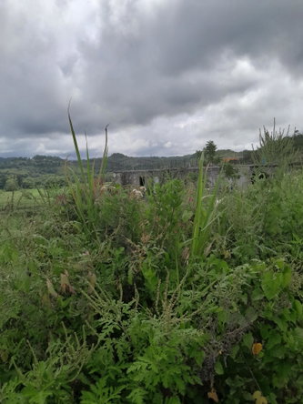 Fifth image of Friendship Scheme in Walkerswood, St. Ann, Jamaica - property is For Sale