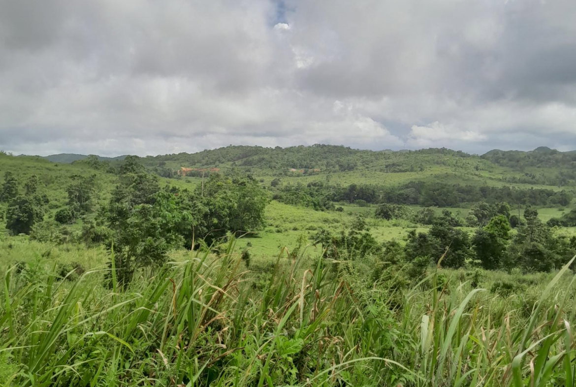 Sixth image of Friendship Scheme in Walkerswood, St. Ann, Jamaica - property is For Sale