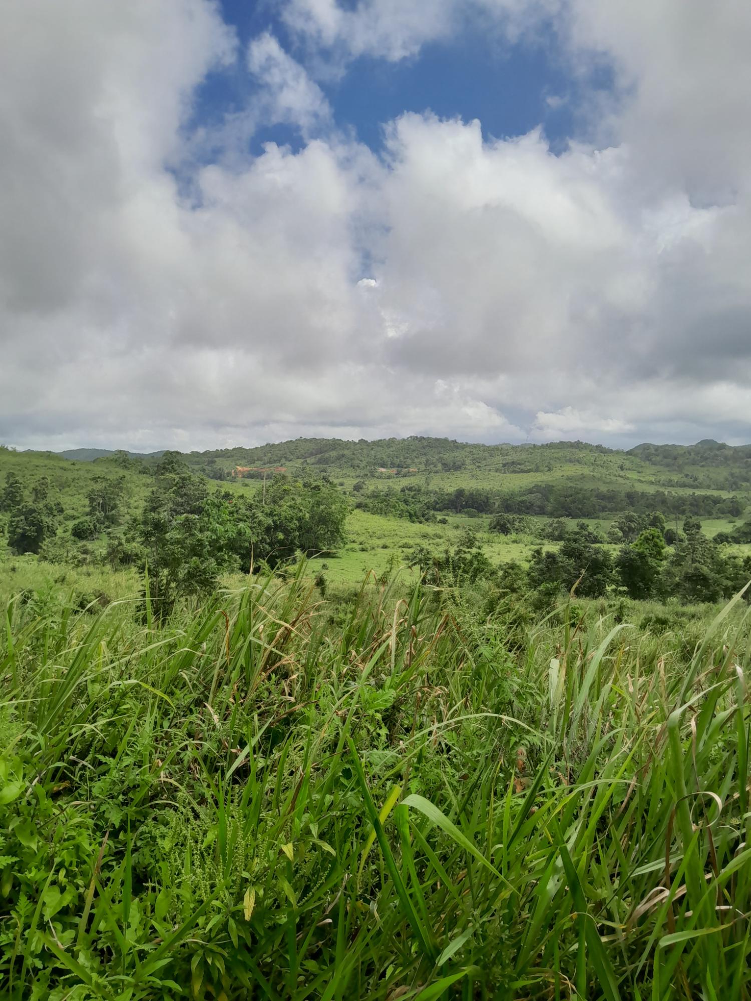 Sixth image of Friendship Scheme in Walkerswood, St. Ann, Jamaica - property is For Sale