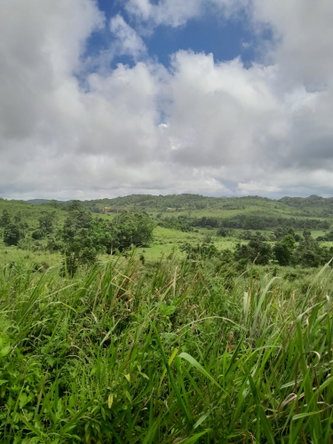 Sixth image of Friendship Scheme in Walkerswood, St. Ann, Jamaica - property is For Sale