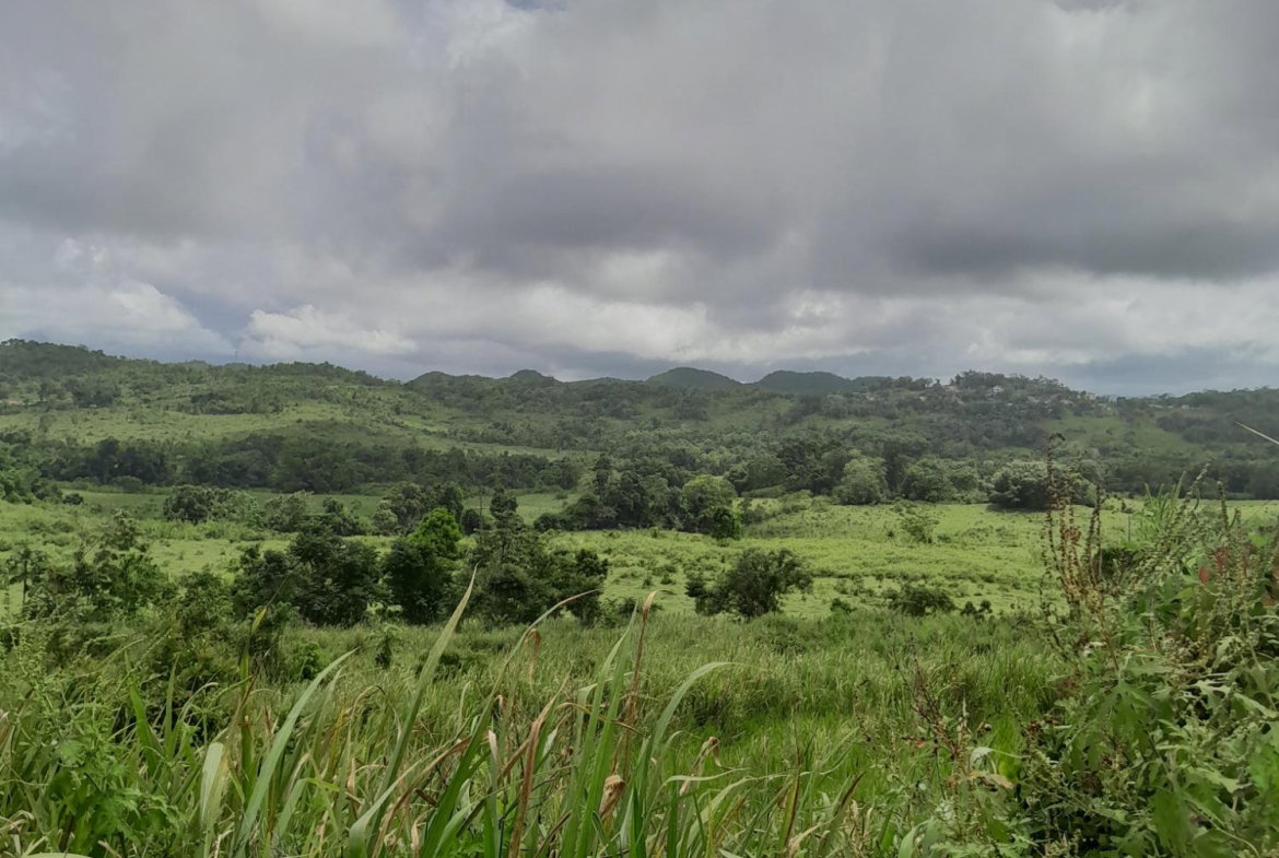 Seventh image of Friendship Scheme in Walkerswood, St. Ann, Jamaica - property is For Sale