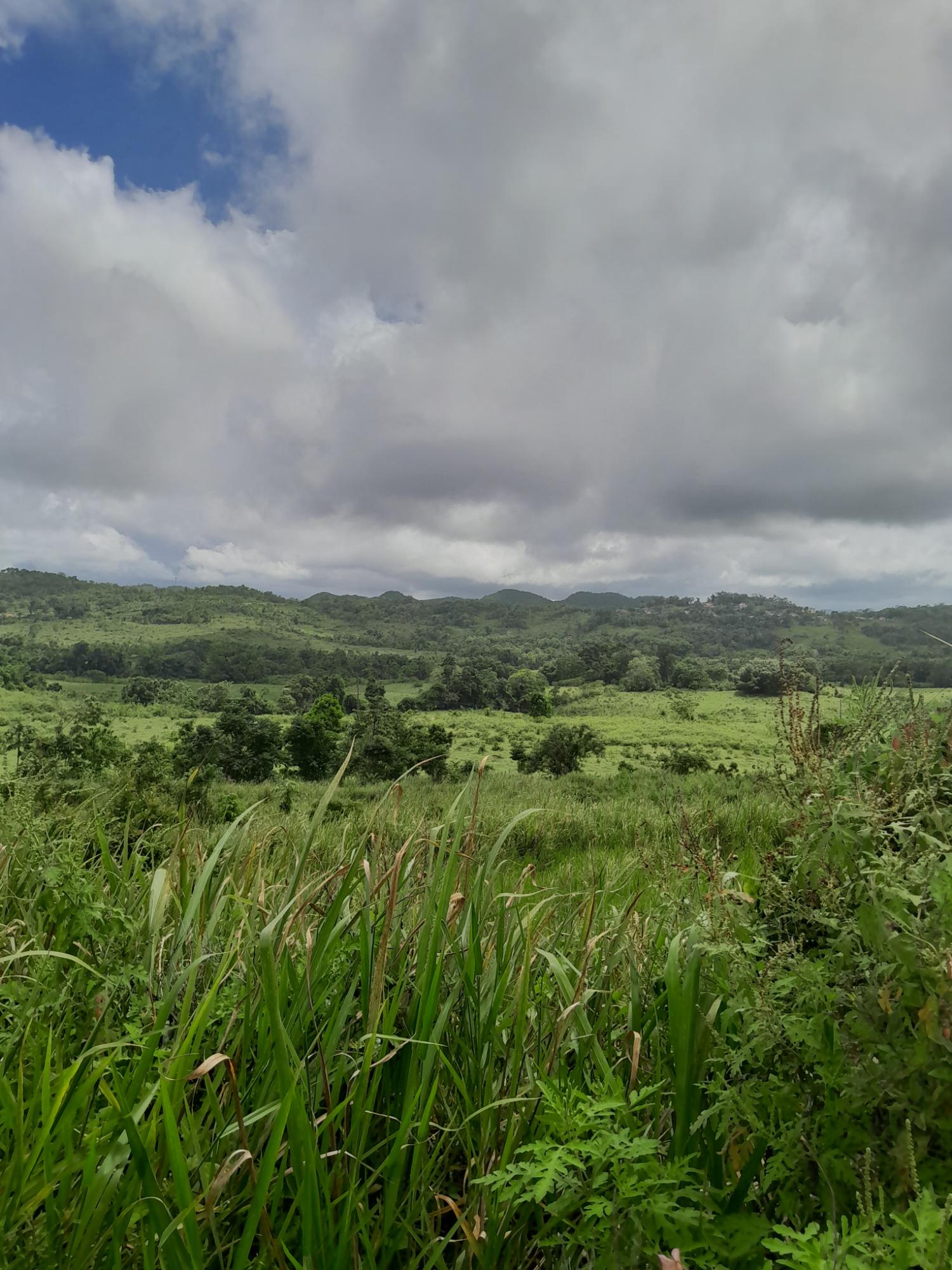 Seventh image of Friendship Scheme in Walkerswood, St. Ann, Jamaica - property is For Sale