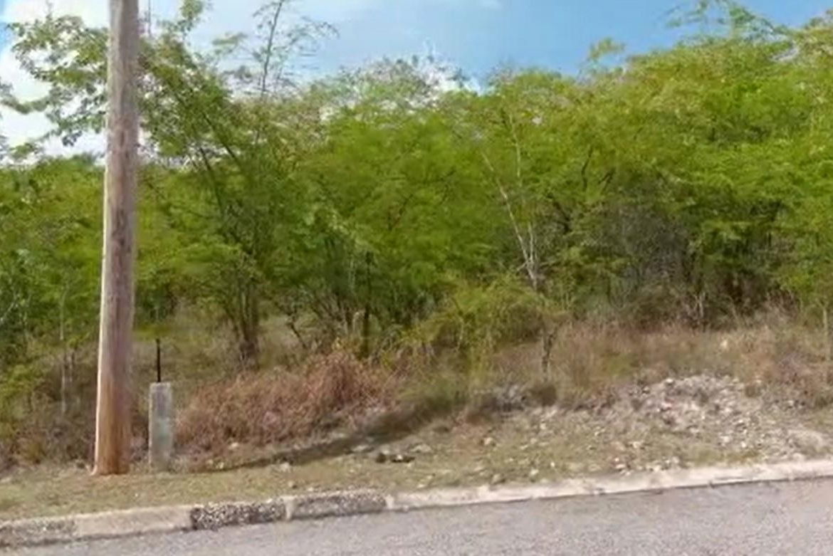 Second image of Palmbrook Estate in Lacovia, St. Elizabeth, Jamaica - property is For Sale