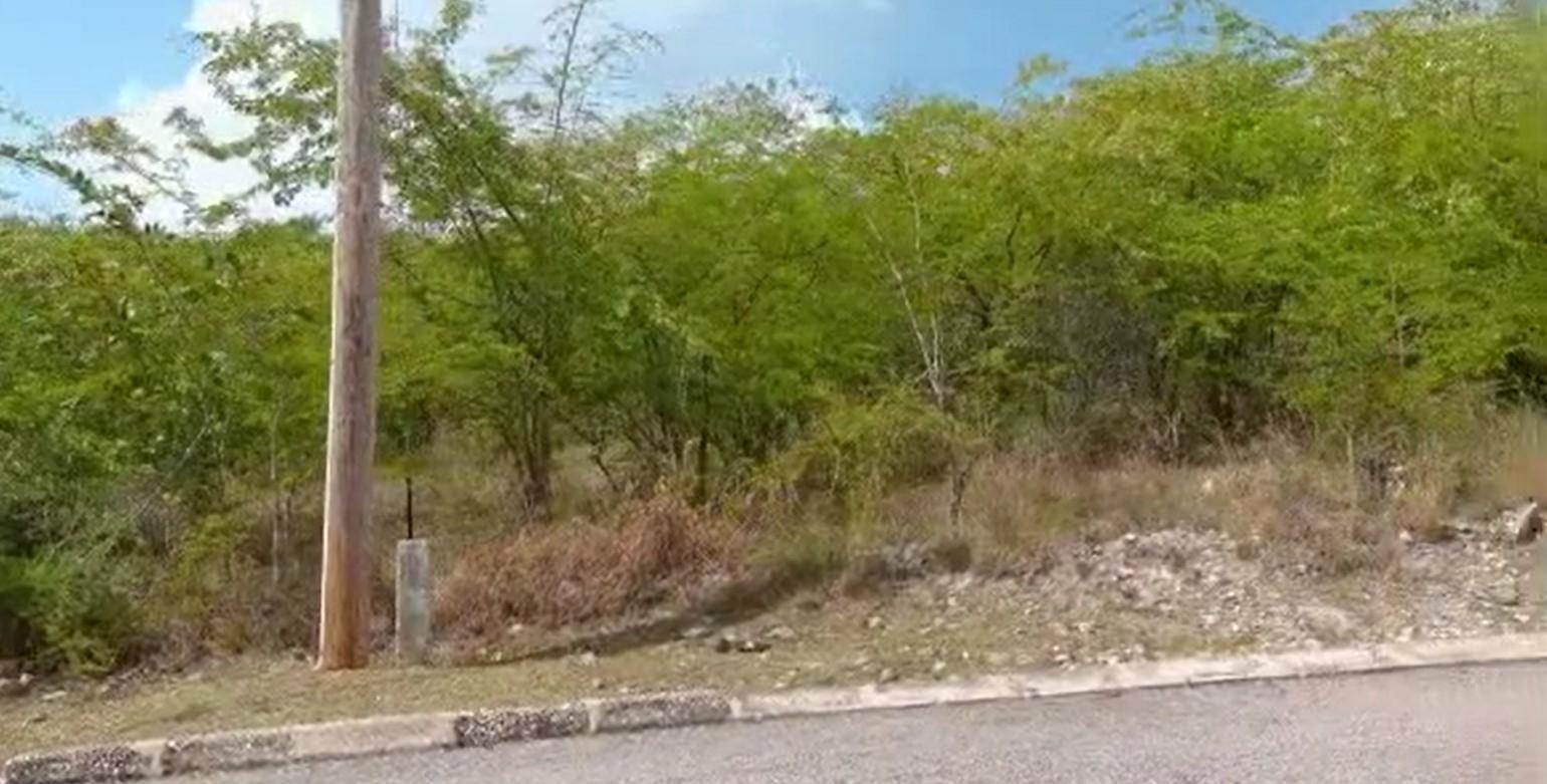Prime-Residential-Lot-for-Sale-in-PalmBrook-Estate-St.-Elizabeth Second image of Palmbrook Estate in Lacovia, St. Elizabeth, Jamaica - property is For Sale