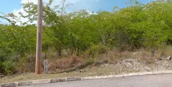 Second image of Palmbrook Estate in Lacovia, St. Elizabeth, Jamaica - property is For Sale