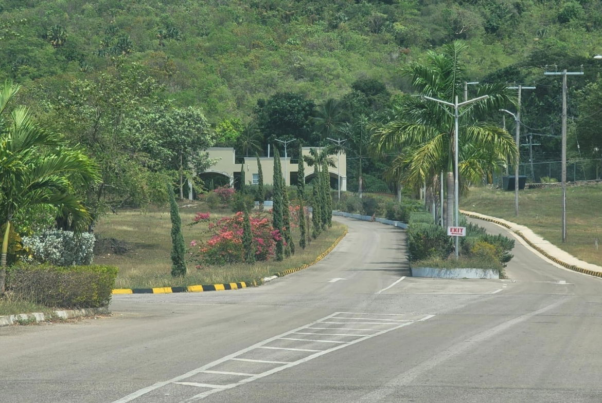 Sixteenth image of Palmbrook Estate in Lacovia, St. Elizabeth, Jamaica - property is For Sale