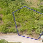 First image of Palmbrook Estate in Lacovia, St. Elizabeth, Jamaica - property is For Sale