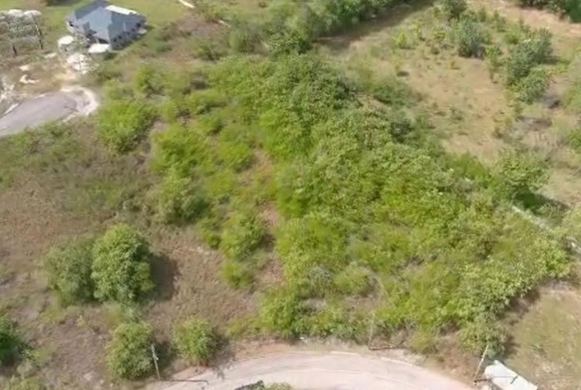 Fourth image of Palmbrook Estate in Lacovia, St. Elizabeth, Jamaica - property is For Sale