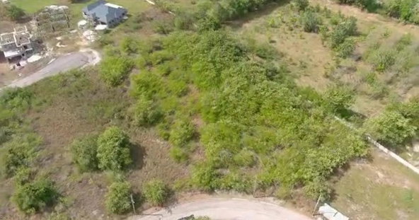 Fourth image of Palmbrook Estate in Lacovia, St. Elizabeth, Jamaica - property is For Sale