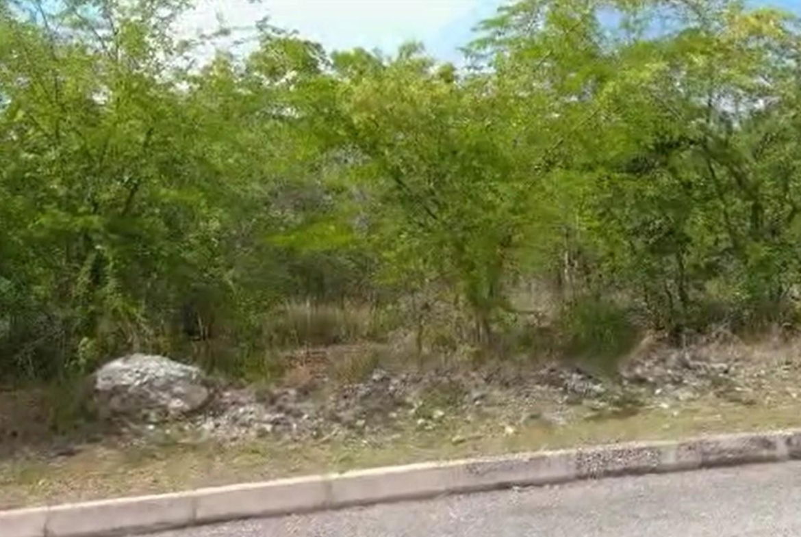 Fifth image of Palmbrook Estate in Lacovia, St. Elizabeth, Jamaica - property is For Sale