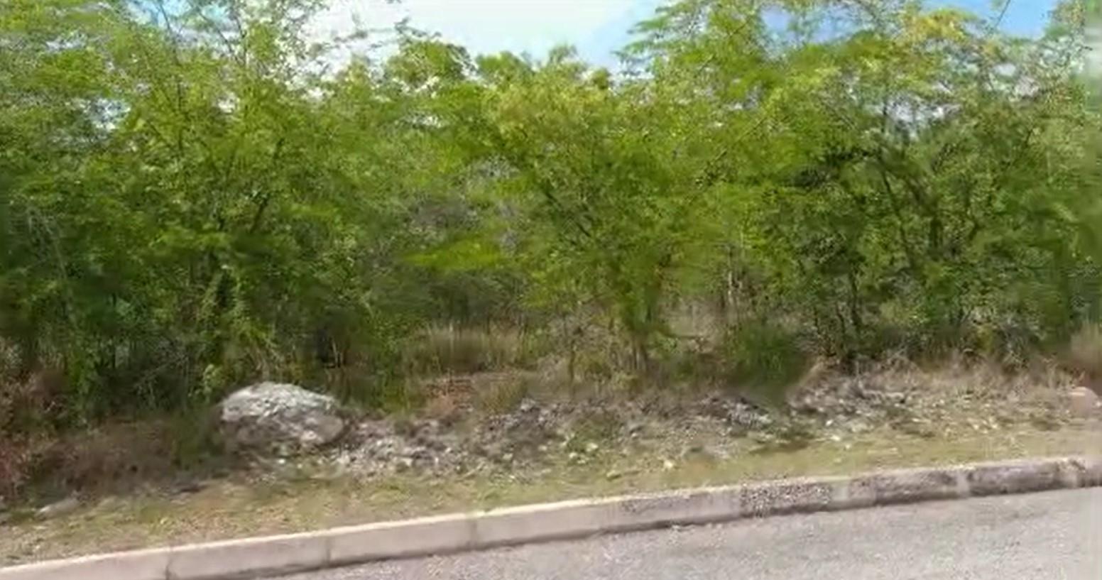 Prime-Residential-Lot-for-Sale-in-PalmBrook-Estate-St.-Elizabeth Fifth image of Palmbrook Estate in Lacovia, St. Elizabeth, Jamaica - property is For Sale