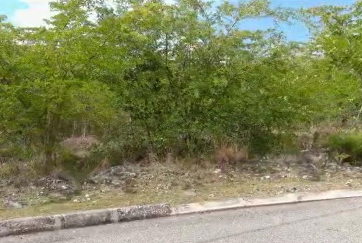 Sixth image of Palmbrook Estate in Lacovia, St. Elizabeth, Jamaica - property is For Sale