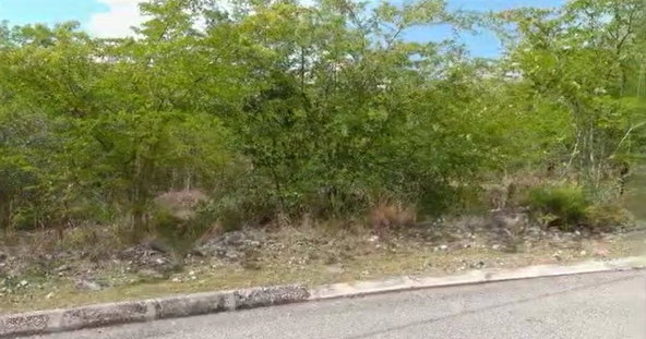Sixth image of Palmbrook Estate in Lacovia, St. Elizabeth, Jamaica - property is For Sale