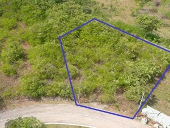 First image of Palmbrook Estate in Lacovia, St. Elizabeth, Jamaica - property is For Sale