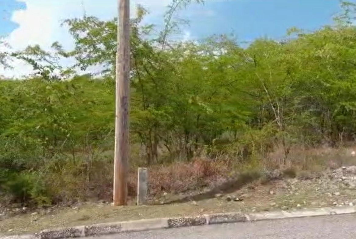 Seventh image of Palmbrook Estate in Lacovia, St. Elizabeth, Jamaica - property is For Sale