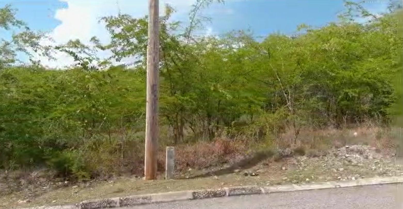 Prime-Residential-Lot-for-Sale-in-PalmBrook-Estate-St.-Elizabeth Seventh image of Palmbrook Estate in Lacovia, St. Elizabeth, Jamaica - property is For Sale