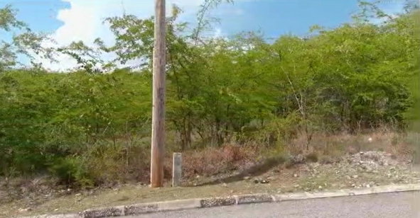 Seventh image of Palmbrook Estate in Lacovia, St. Elizabeth, Jamaica - property is For Sale