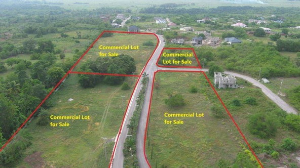 Tenth image of Palmbrook Estate in Lacovia, St. Elizabeth, Jamaica - property is For Sale