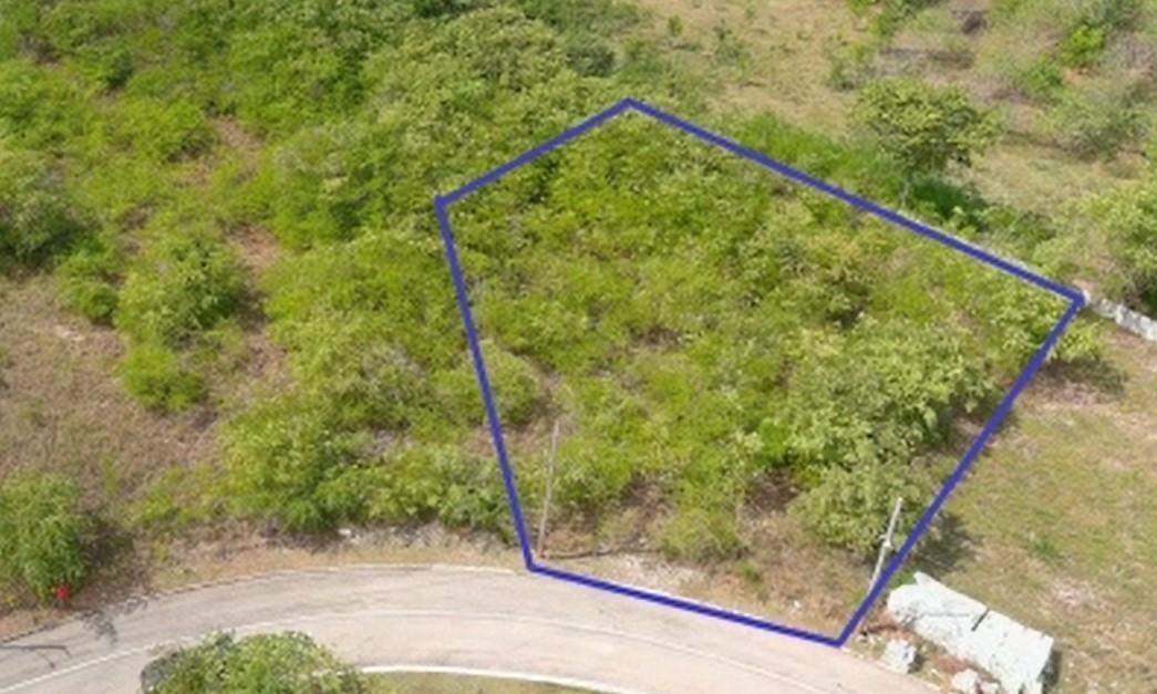 First image of Palmbrook Estate in Lacovia, St. Elizabeth, Jamaica - property is For Sale