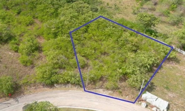 First image of Palmbrook Estate in Lacovia, St. Elizabeth, Jamaica - property is For Sale