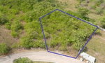 First image of Palmbrook Estate in Lacovia, St. Elizabeth, Jamaica - property is For Sale
