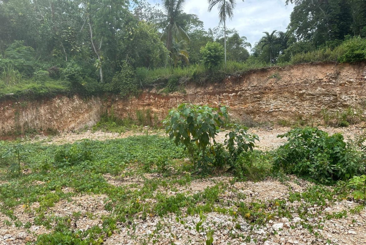 Second image of Diamond Road in Kingston 9, St. Andrew, Jamaica - property is For Sale