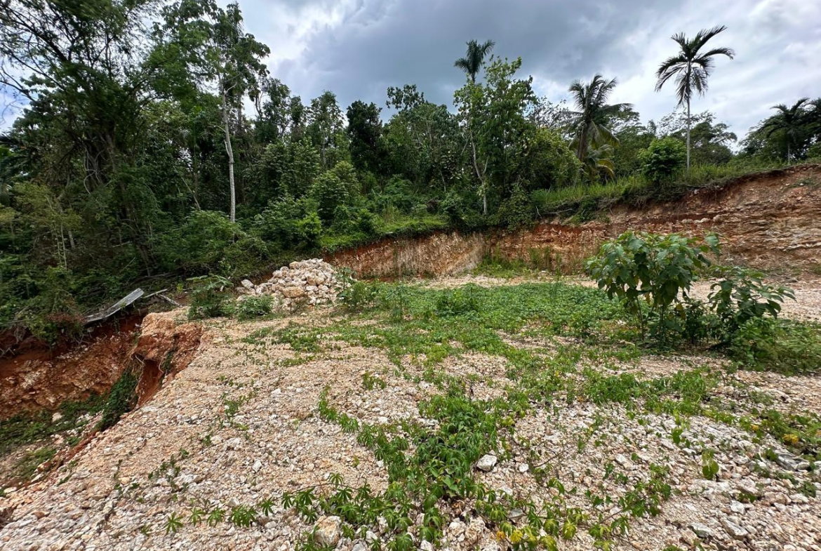 Fourth image of Diamond Road in Kingston 9, St. Andrew, Jamaica - property is For Sale