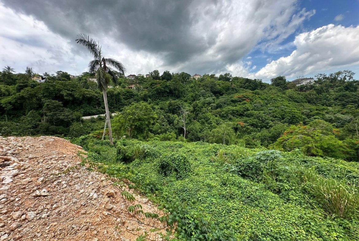 Sixth image of Diamond Road in Kingston 9, St. Andrew, Jamaica - property is For Sale
