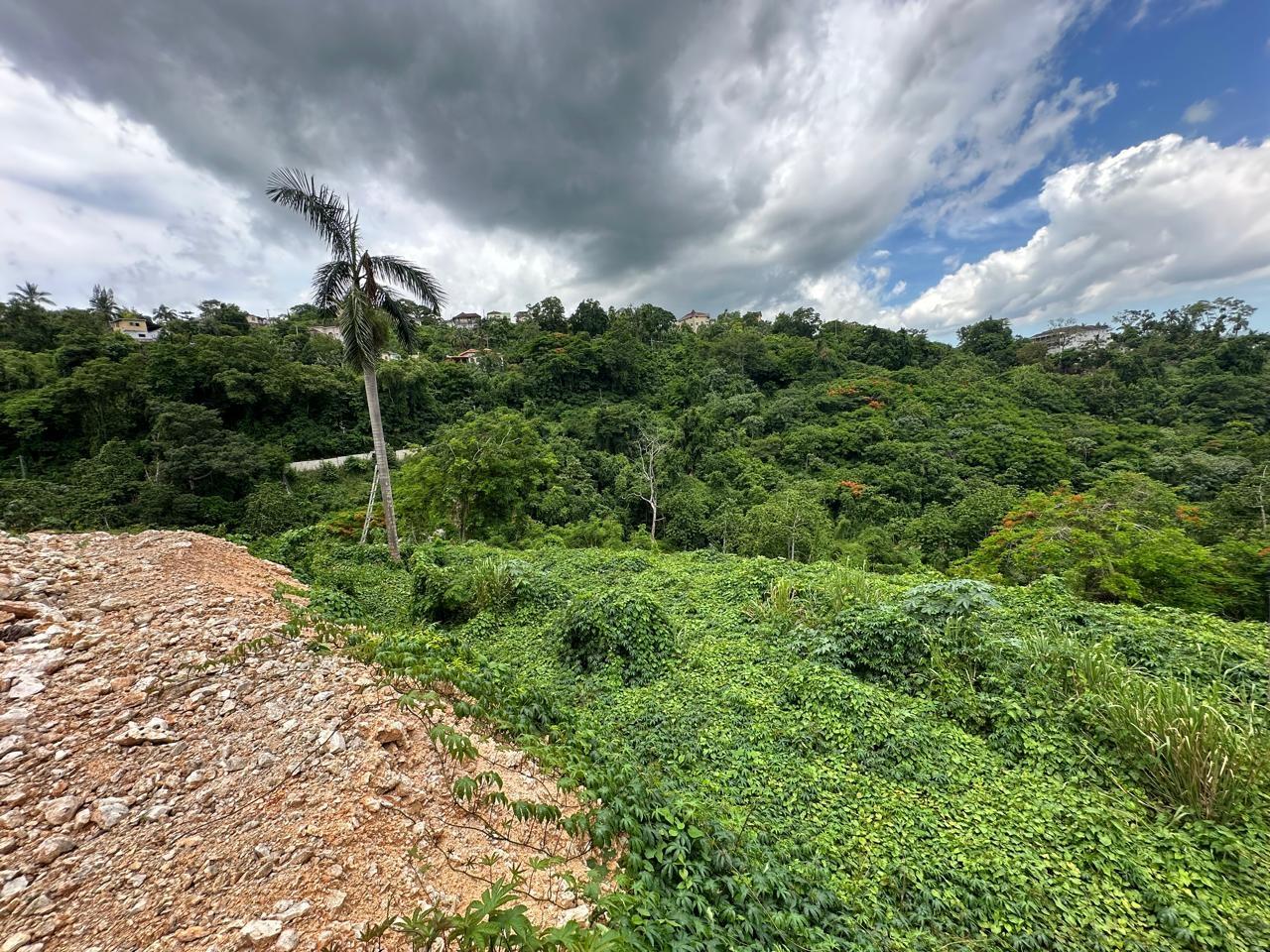 Sixth image of Diamond Road in Kingston 9, St. Andrew, Jamaica - property is For Sale