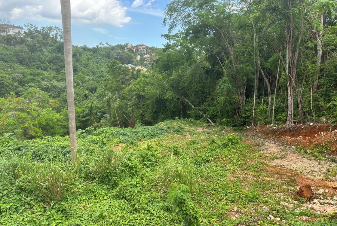 Seventh image of Diamond Road in Kingston 9, St. Andrew, Jamaica - property is For Sale