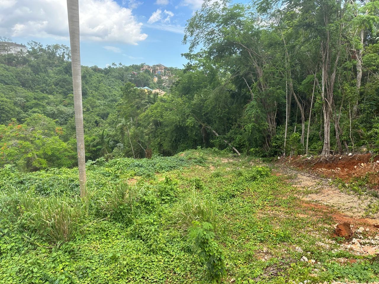 Seventh image of Diamond Road in Kingston 9, St. Andrew, Jamaica - property is For Sale