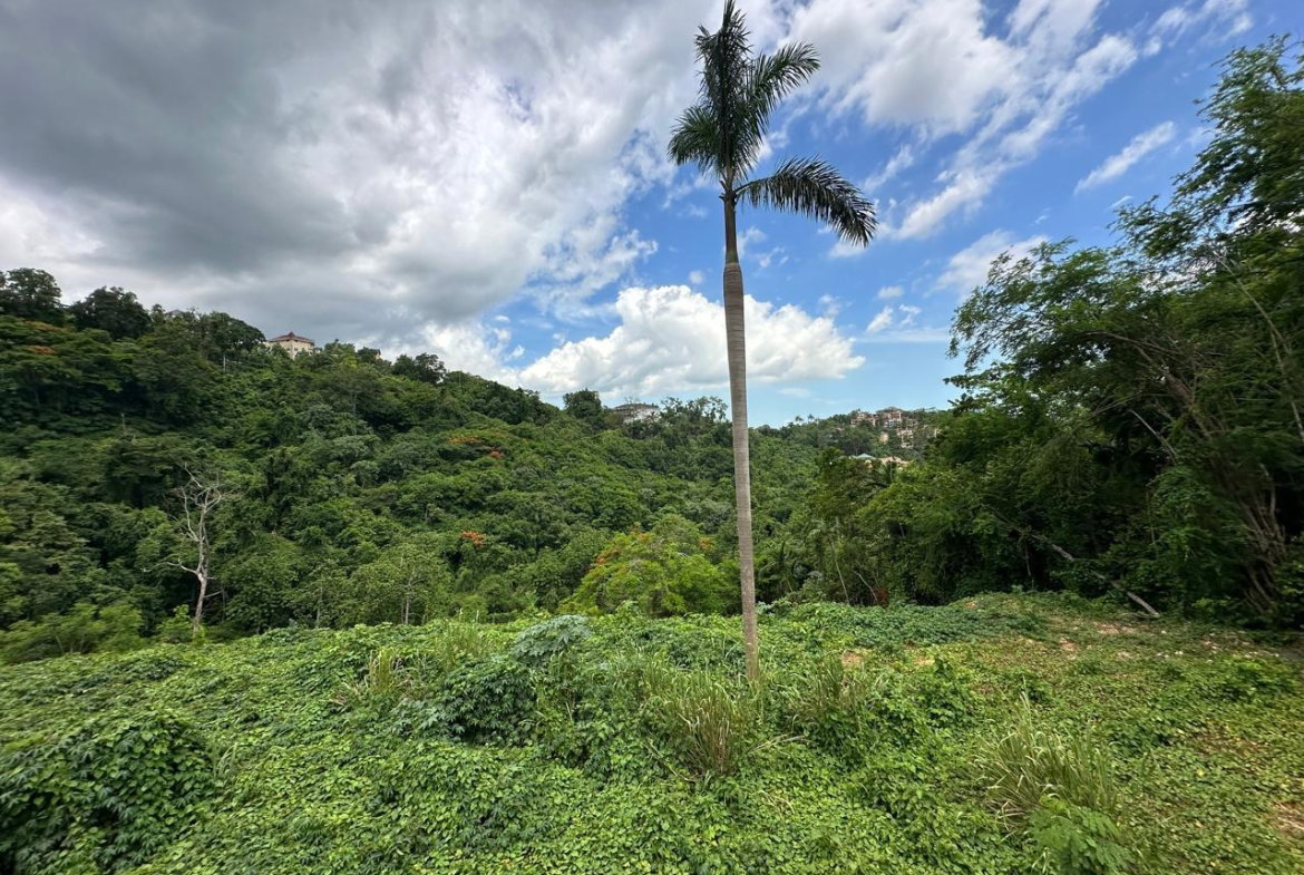 Eighth image of Diamond Road in Kingston 9, St. Andrew, Jamaica - property is For Sale
