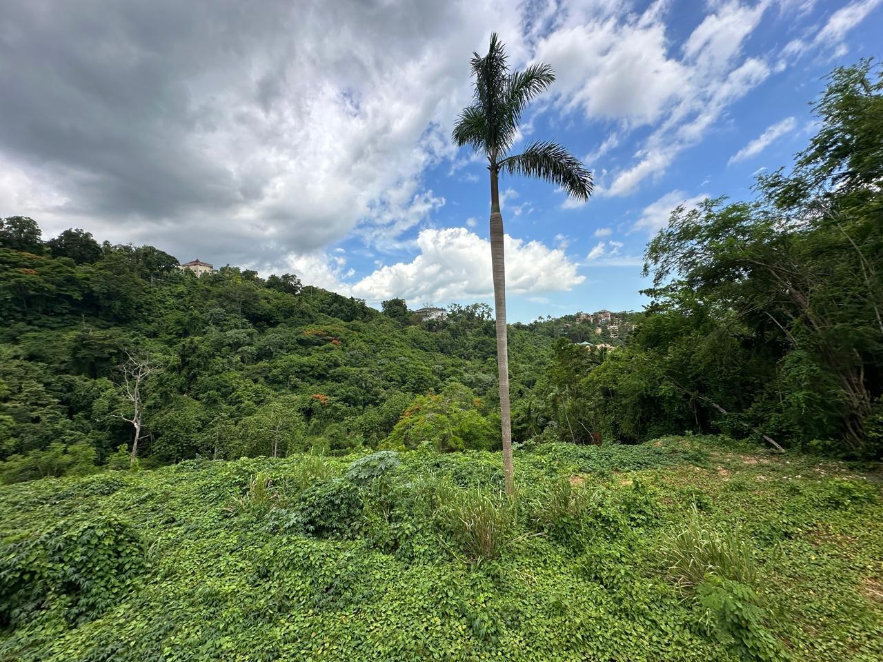 Eighth image of Diamond Road in Kingston 9, St. Andrew, Jamaica - property is For Sale