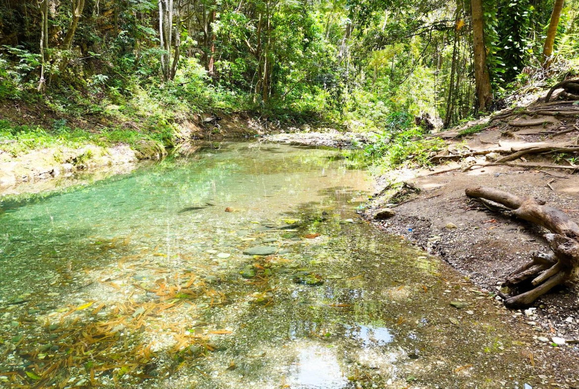 Second image of 7 Over River Orange in Montego Bay, St. James, Jamaica - property is For Sale