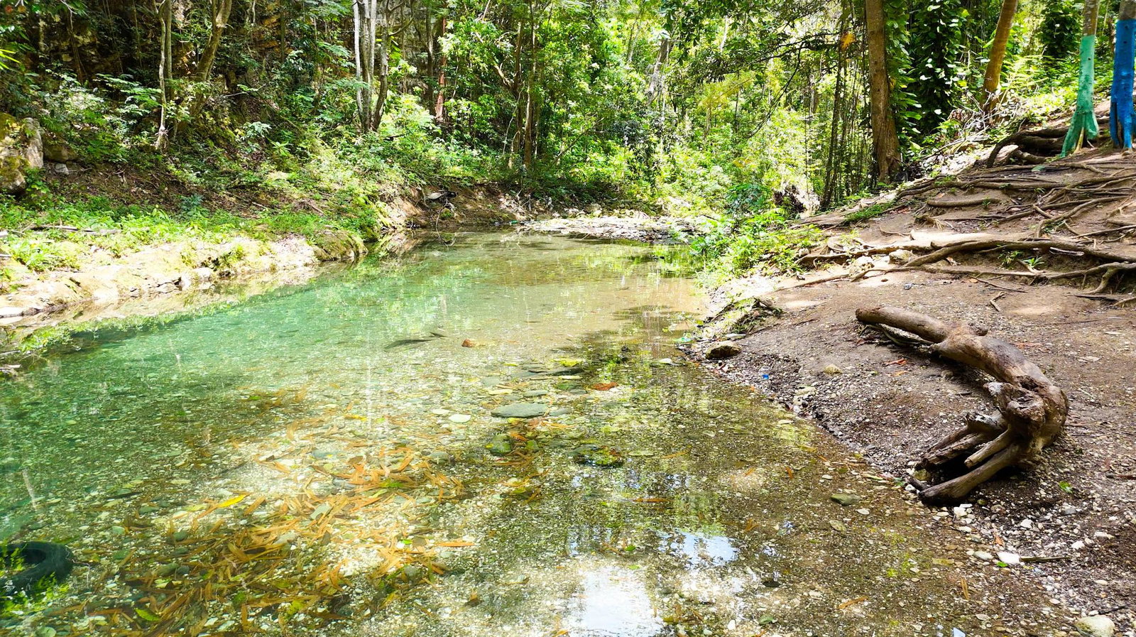 Second image of 7 Over River Orange in Montego Bay, St. James, Jamaica - property is For Sale