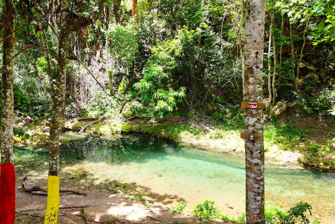 Third image of 7 Over River Orange in Montego Bay, St. James, Jamaica - property is For Sale