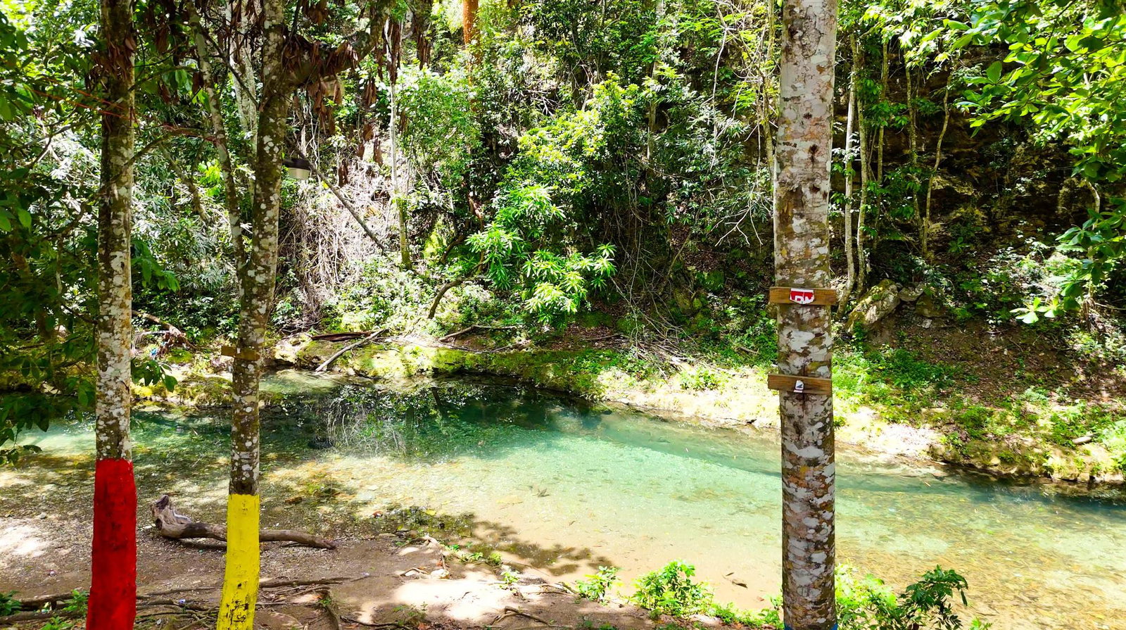 Third image of 7 Over River Orange in Montego Bay, St. James, Jamaica - property is For Sale