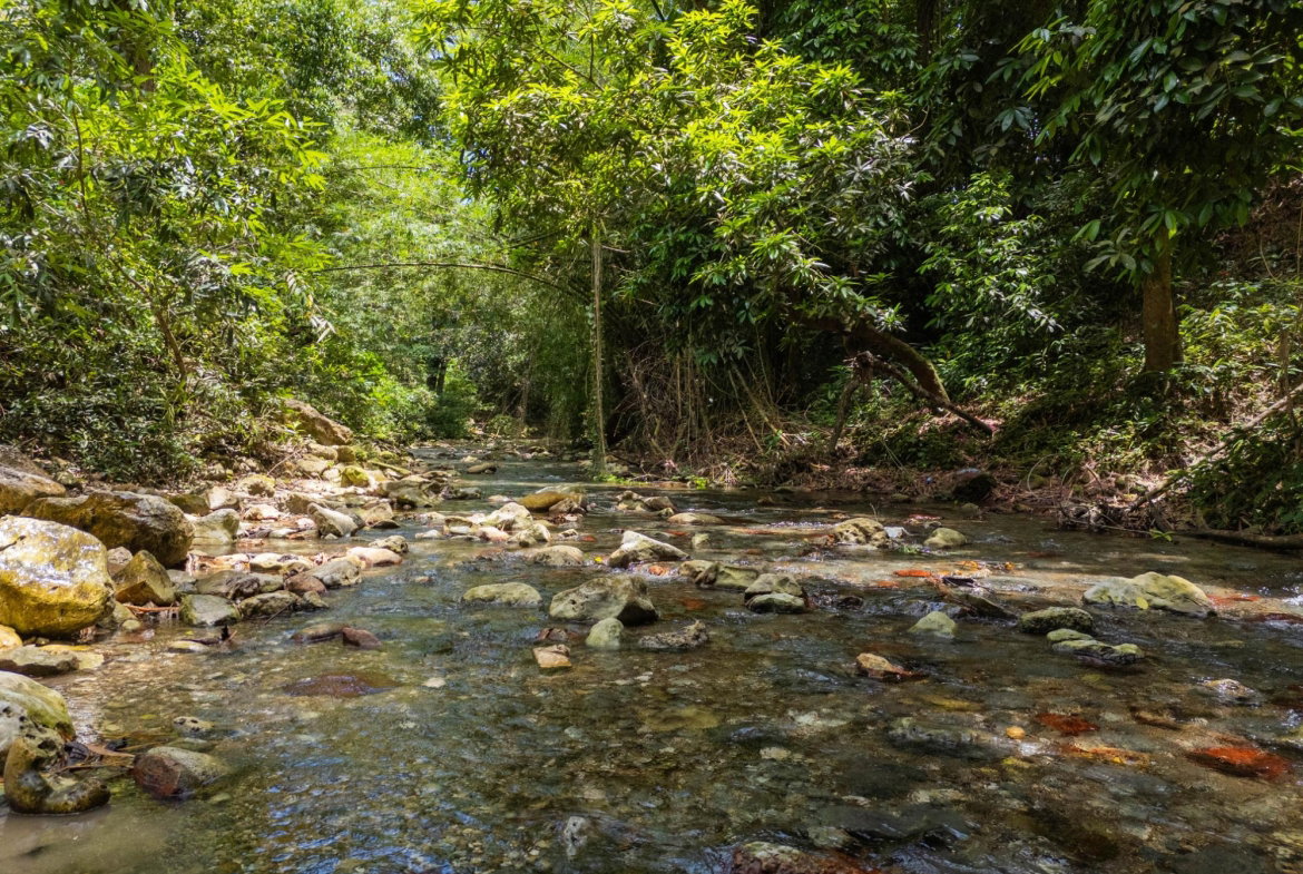 Eighth image of 7 Over River Orange in Montego Bay, St. James, Jamaica - property is For Sale