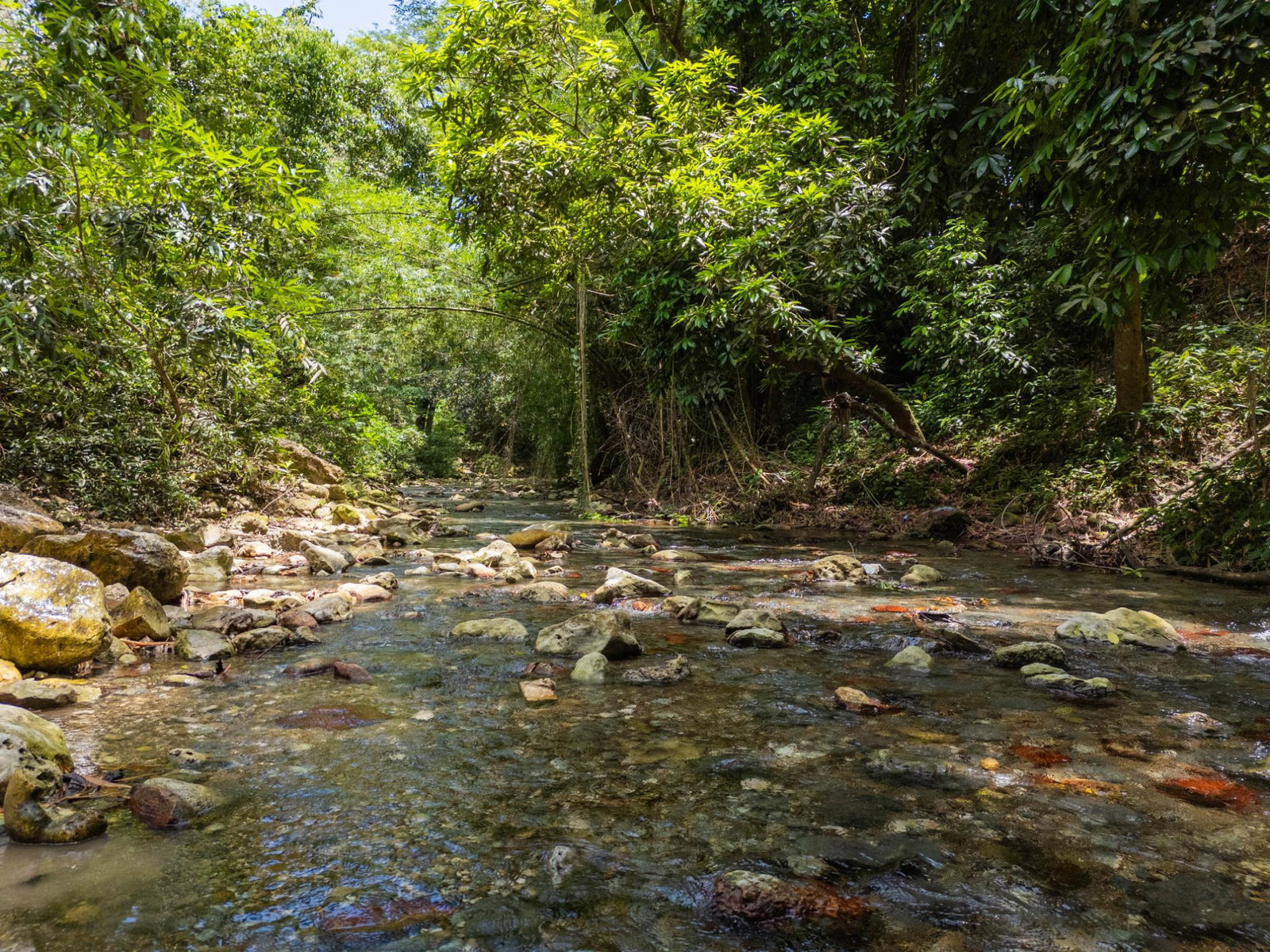 Eighth image of 7 Over River Orange in Montego Bay, St. James, Jamaica - property is For Sale
