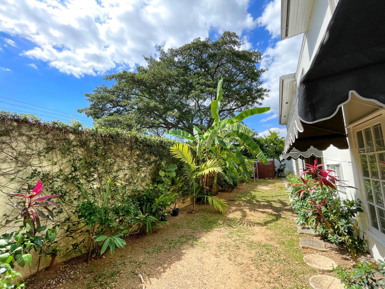 Twenty-Eighth image of Norbrook Drive in Kingston 8, St. Andrew, Jamaica - property is For Rent