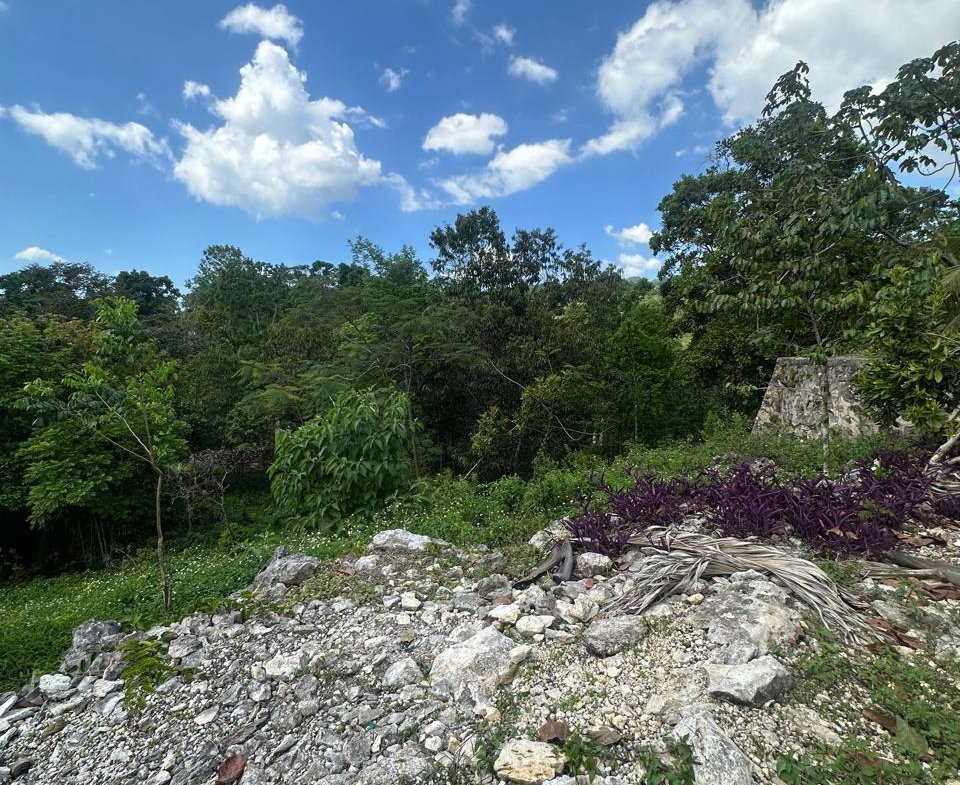 Second image of Land Part of Mile Gully, in MILE GULLY, Manchester, Jamaica - property is For Sale
