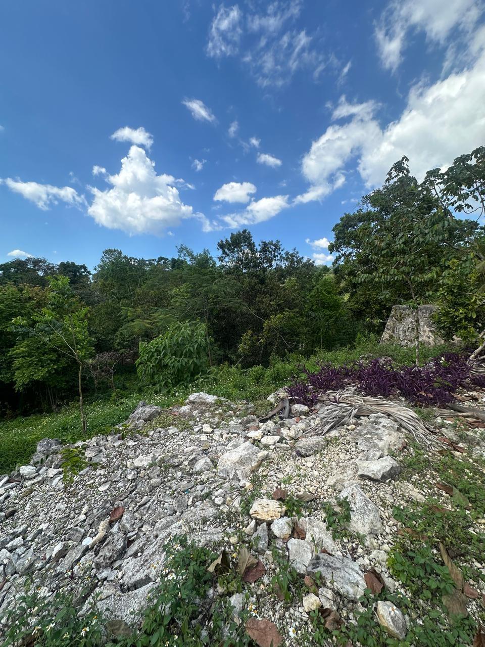 Residential-Land-for-Sale-in-Mile-Gully-Manchester-Jamaica Second image of Land Part of Mile Gully, in MILE GULLY, Manchester, Jamaica - property is For Sale