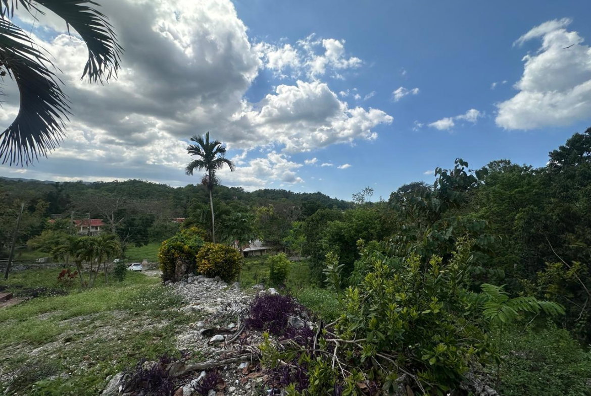 Third image of Land Part of Mile Gully, in MILE GULLY, Manchester, Jamaica - property is For Sale