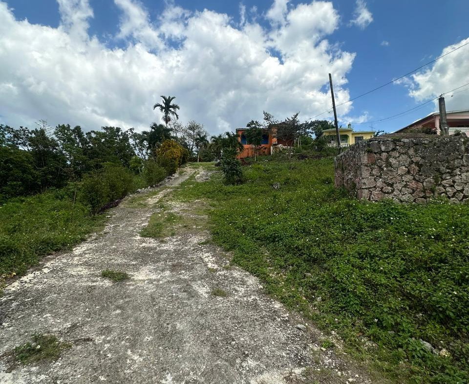 Fourth image of Land Part of Mile Gully, in MILE GULLY, Manchester, Jamaica - property is For Sale
