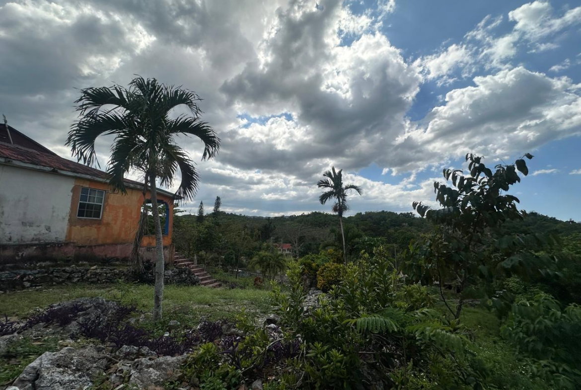 Fifth image of Land Part of Mile Gully, in MILE GULLY, Manchester, Jamaica - property is For Sale
