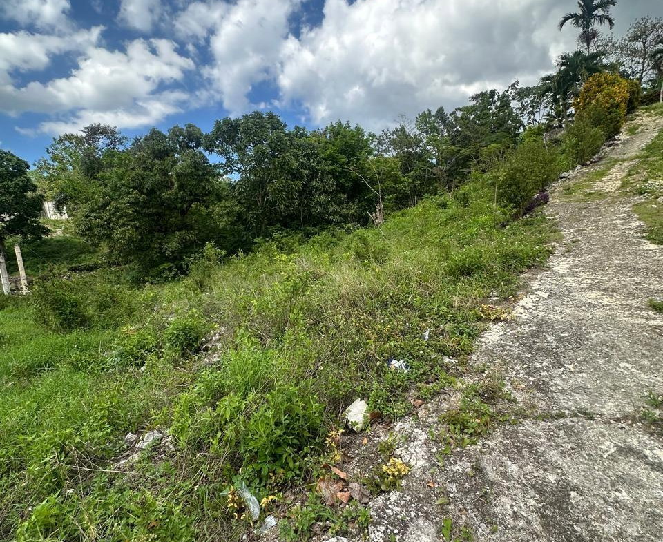 Seventh image of Land Part of Mile Gully, in MILE GULLY, Manchester, Jamaica - property is For Sale